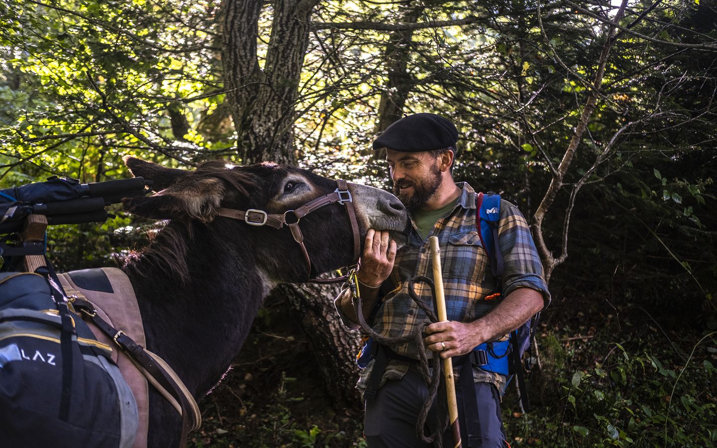 Pierre Vidal - Accompagnateur montagne avec âne porteur - photo 4
