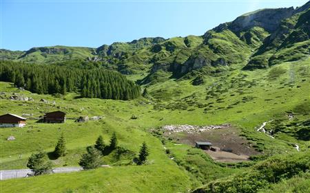 La balade de la bergerie 