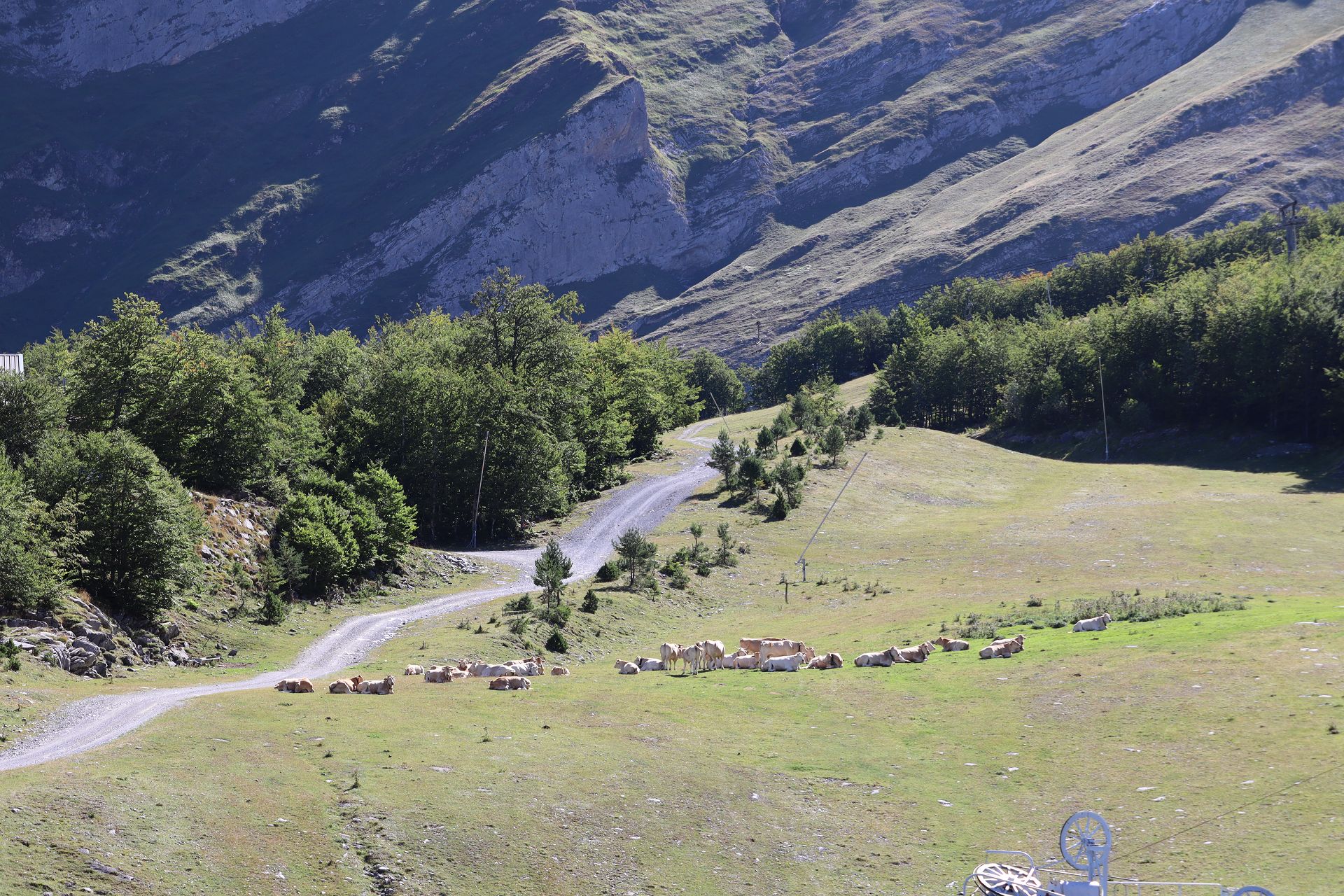 Copains des Pyrénées - photo 4