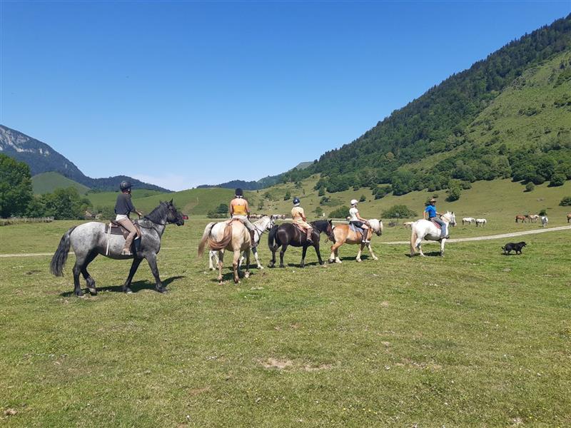 Chevauchée Pyrénéenne - Accompagnateur équestre