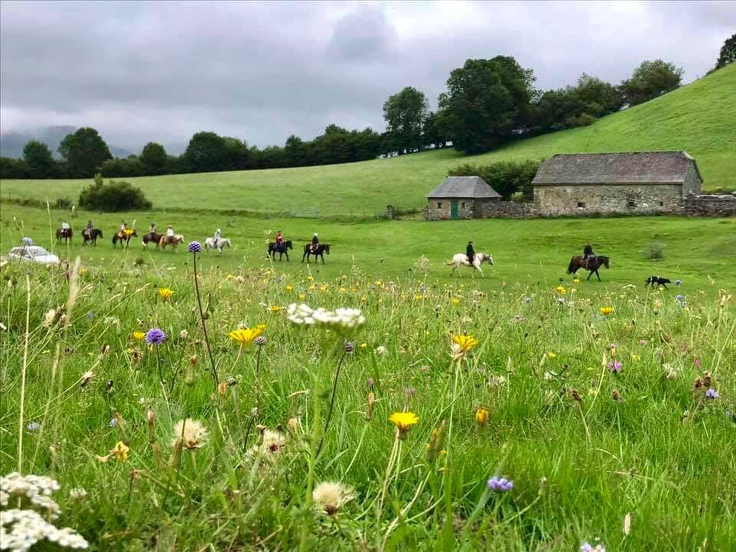 Chevauchée Pyrénéenne - Accompagnateur équestre