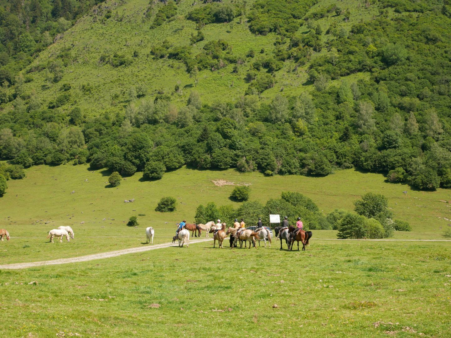 Chevauchée Pyrénéenne - Accompagnateur équestre à BILHERES (64) - Infos ...