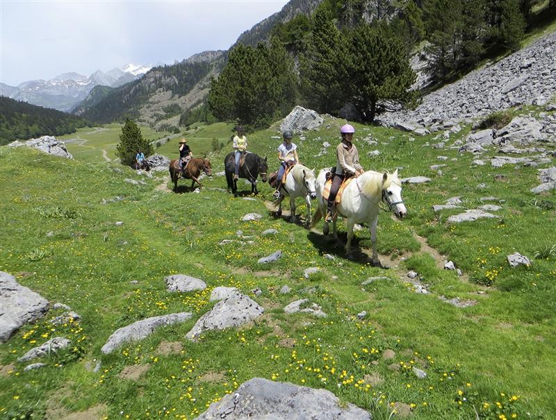 Chevaux du Lac - Accompagnement équestre