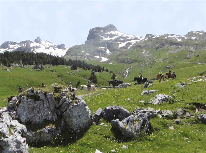 Chevaux du Lac - Accompagnement équestre
