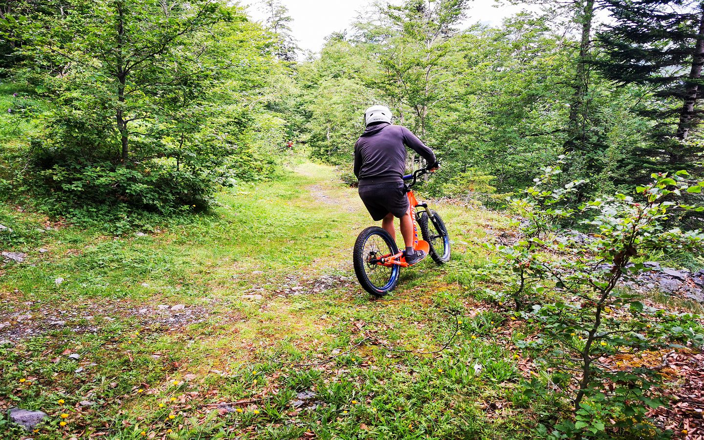 Location de trottinettes & Fat bike — photo 3