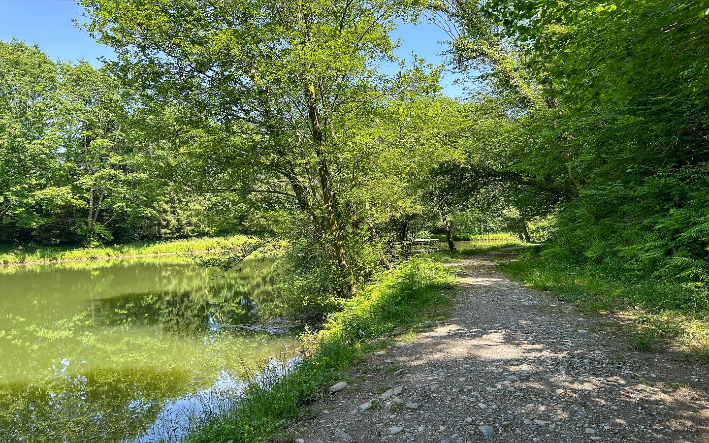 Le lac Ducrest à Arudy, Arudy