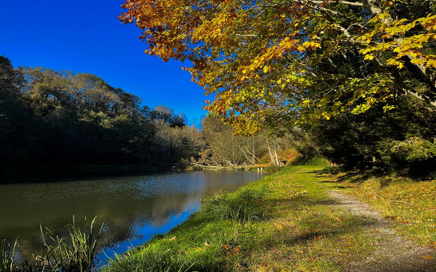 Le lac Ducrest à Arudy