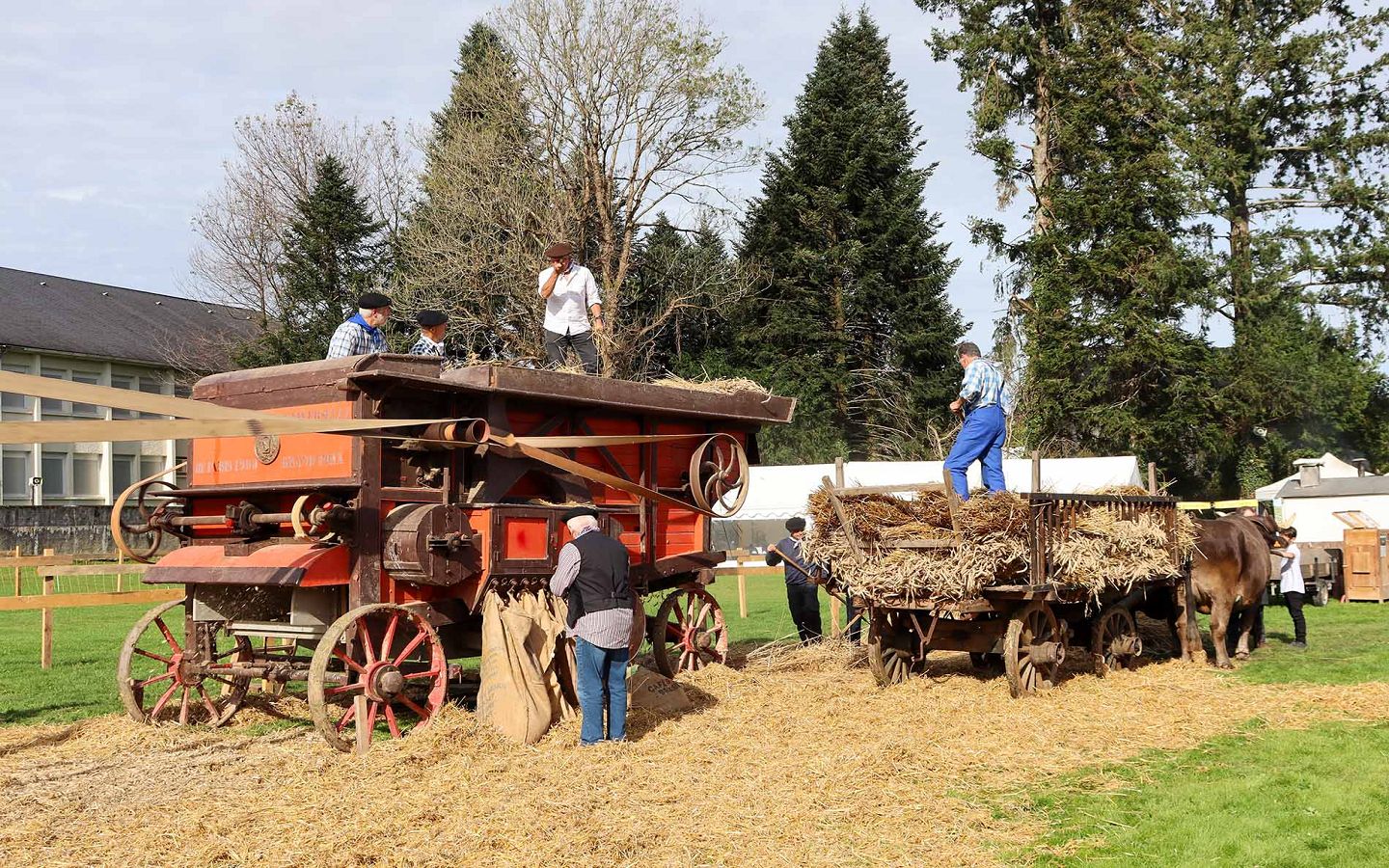 Foire d'Automne à Arudy — visuel événement