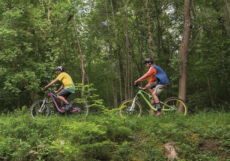 Morlanne : les Palombières à VTT 
