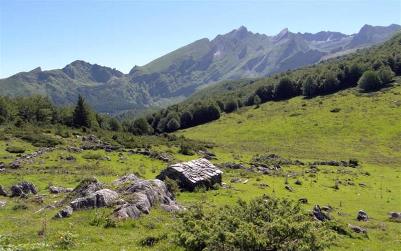 La cabane de Bouy