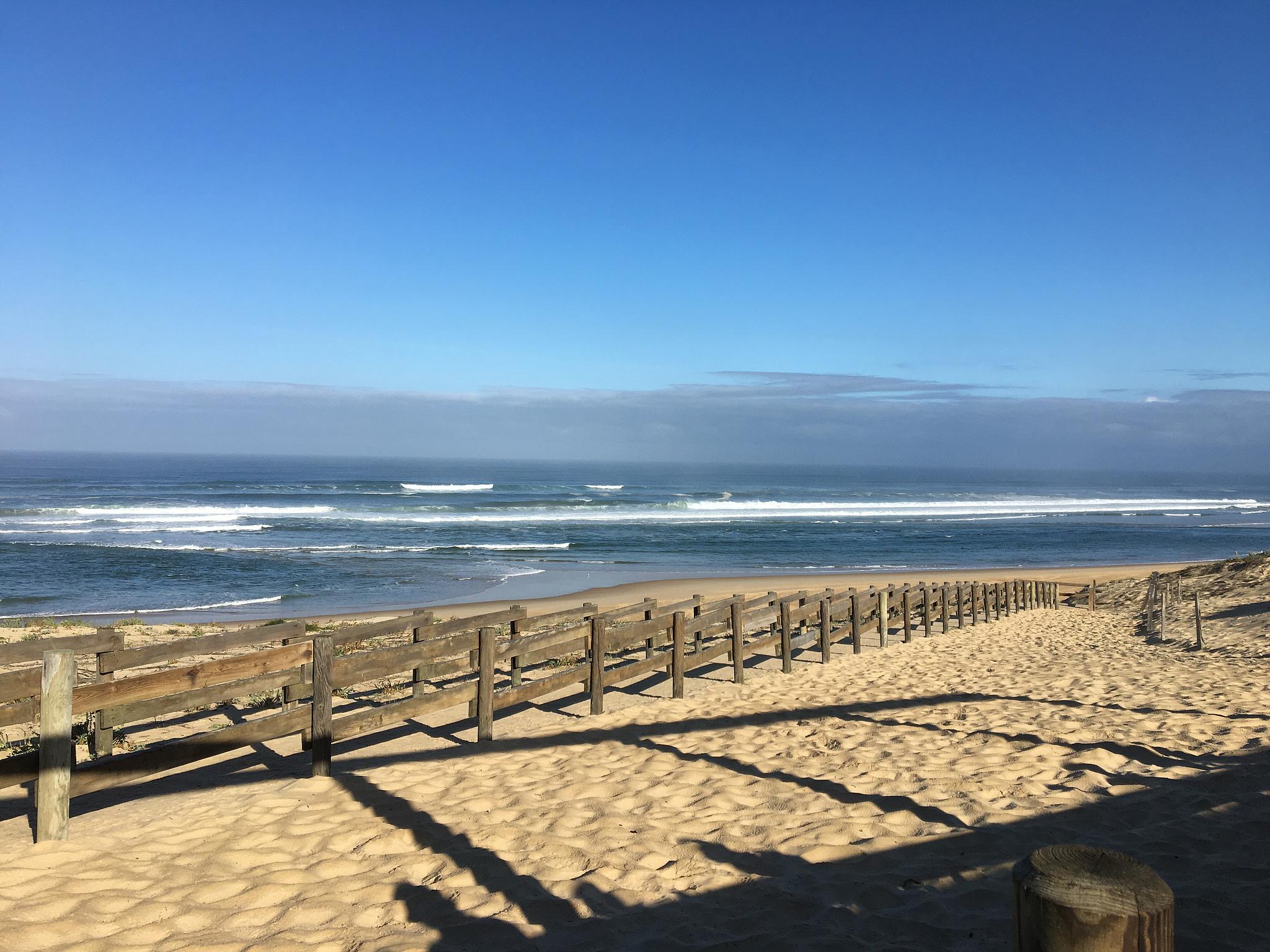 La Puriste de la Nature, Messanges - photo 11