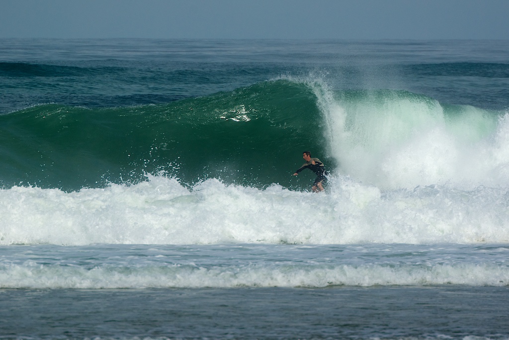 La Puriste de la Nature, Messanges - photo 8