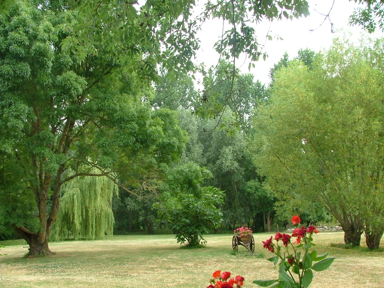 Le Paradis (n° 3010), Le Vanneau-Irleau - photo 5