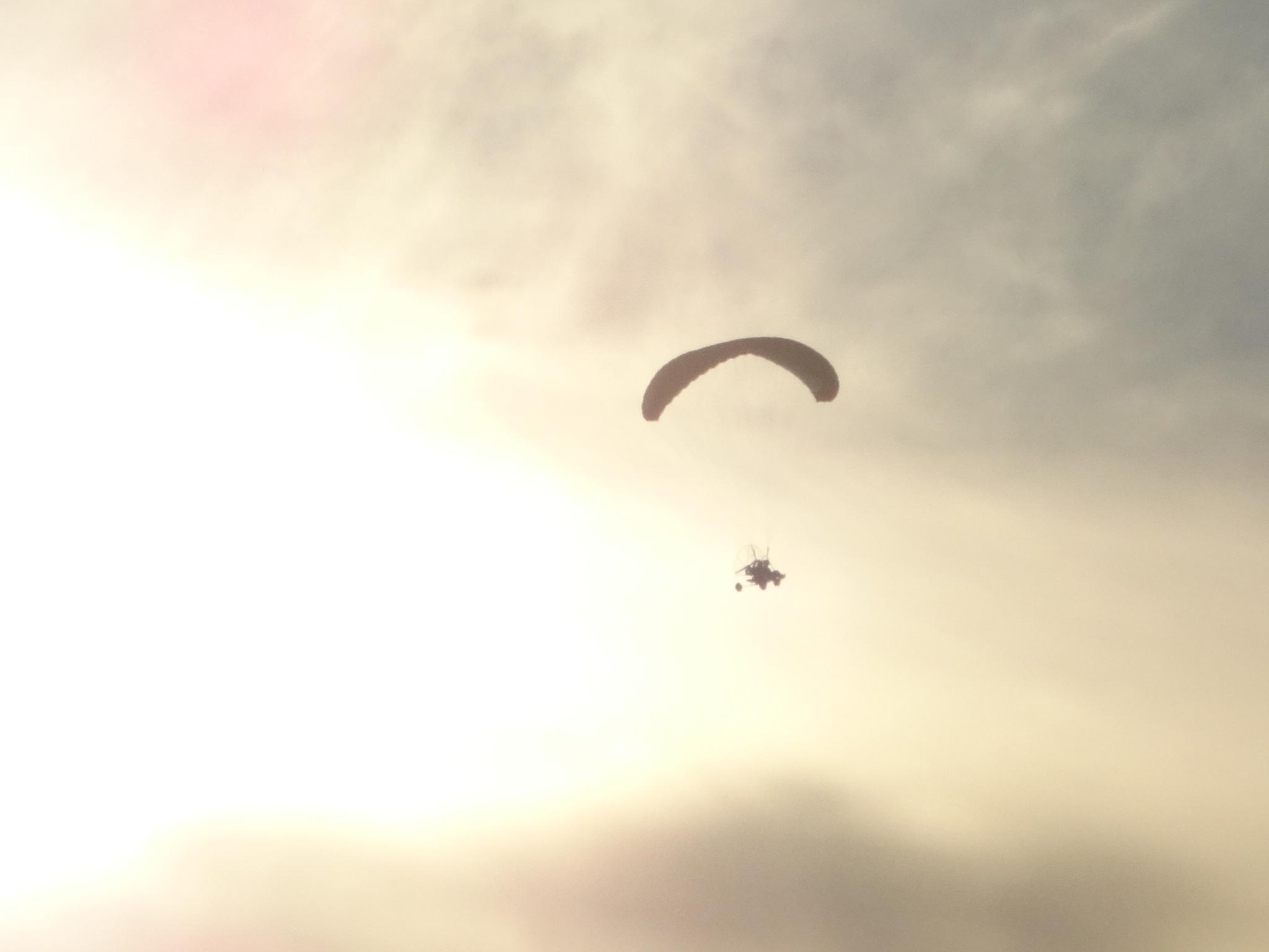 La Puriste de la Nature, Messanges - photo 16