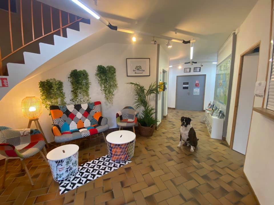 Camping les Pitouilles - Vassivière - photo 2