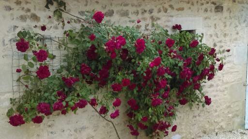 Gîte de la Grimolle 2