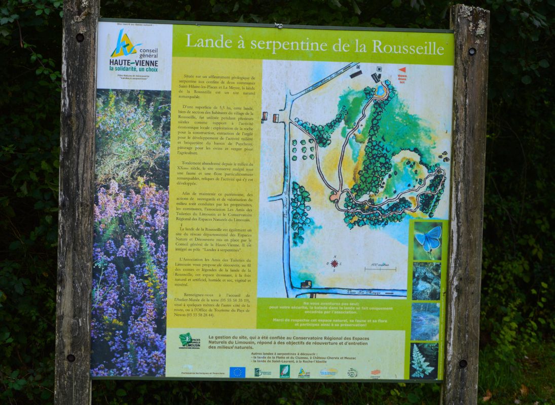 La Lande à serpentine de la Rousseille, Saint-Hilaire-les-Places - photo 12