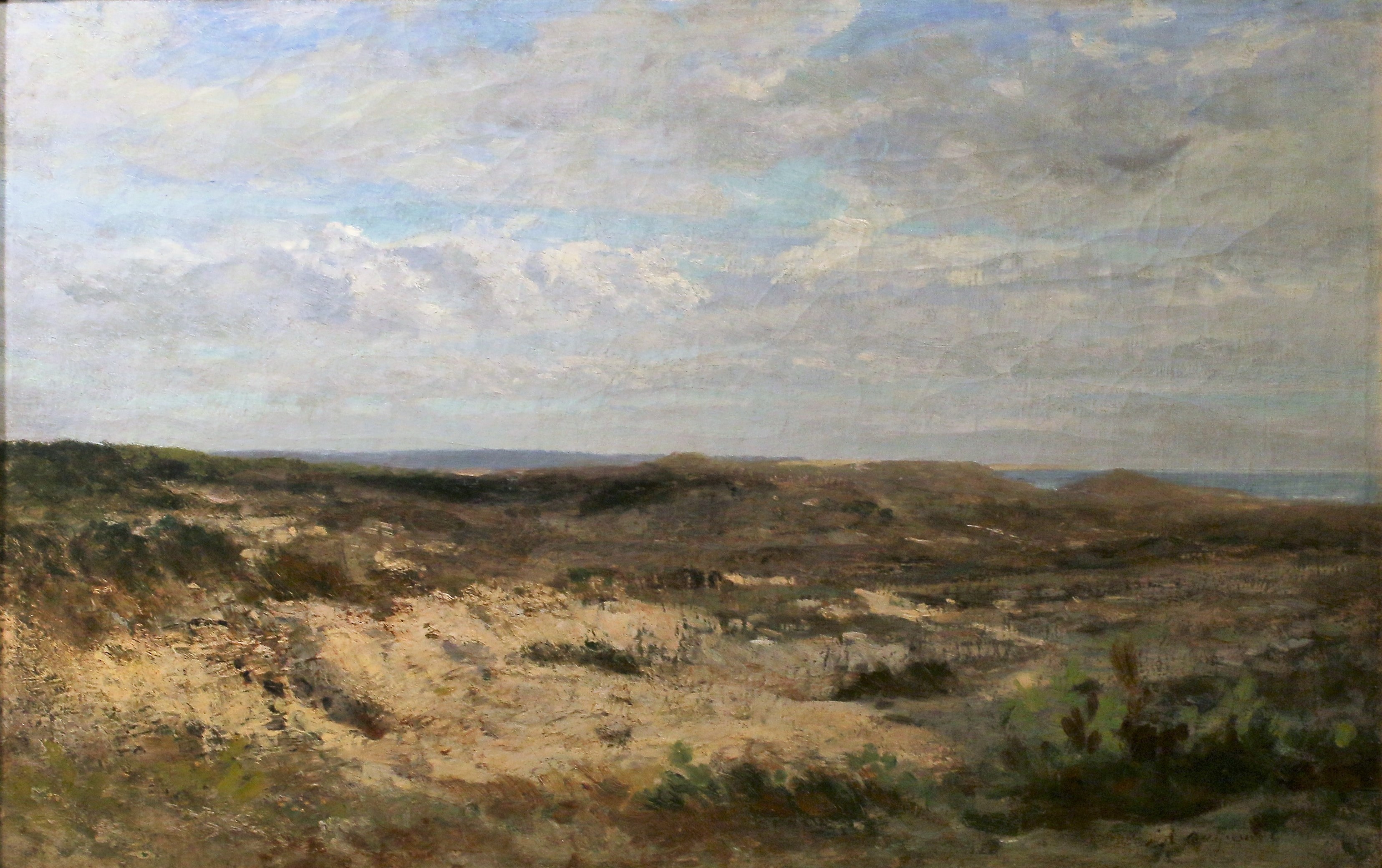 Conservatoire des Landes de Gascogne, Sanguinet - photo 5