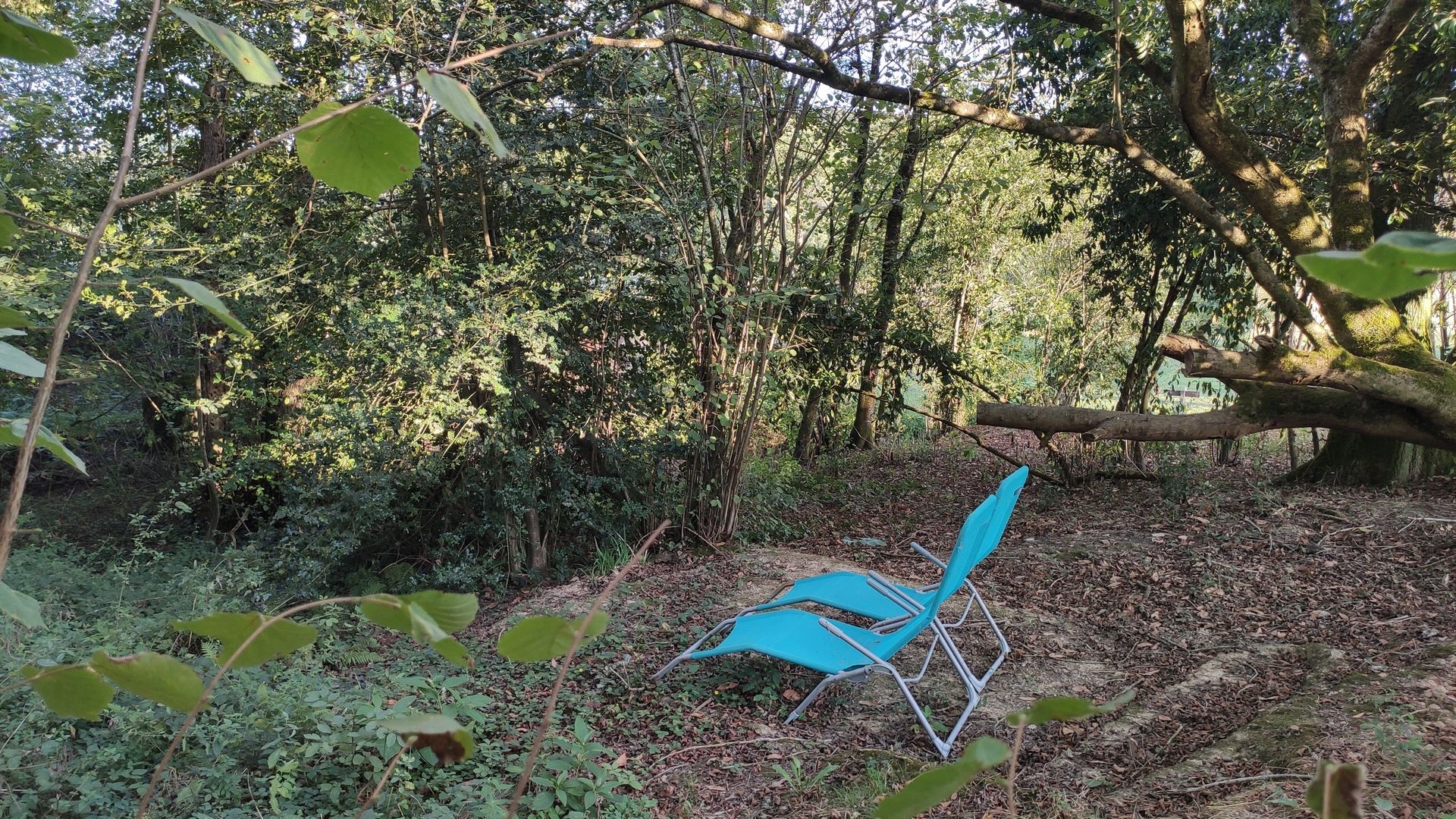 Chai Loly, Balansun - photo 8