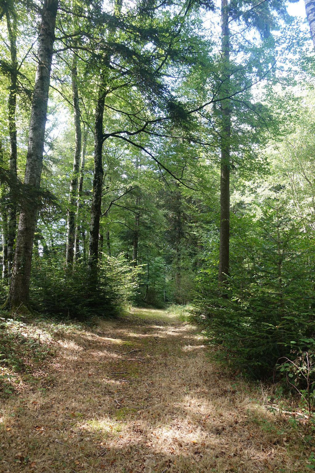 Meublé Le Clos, Marsac - photo 20