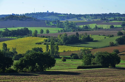Moncaut, balade en Gascogne, Moncaut - photo 4