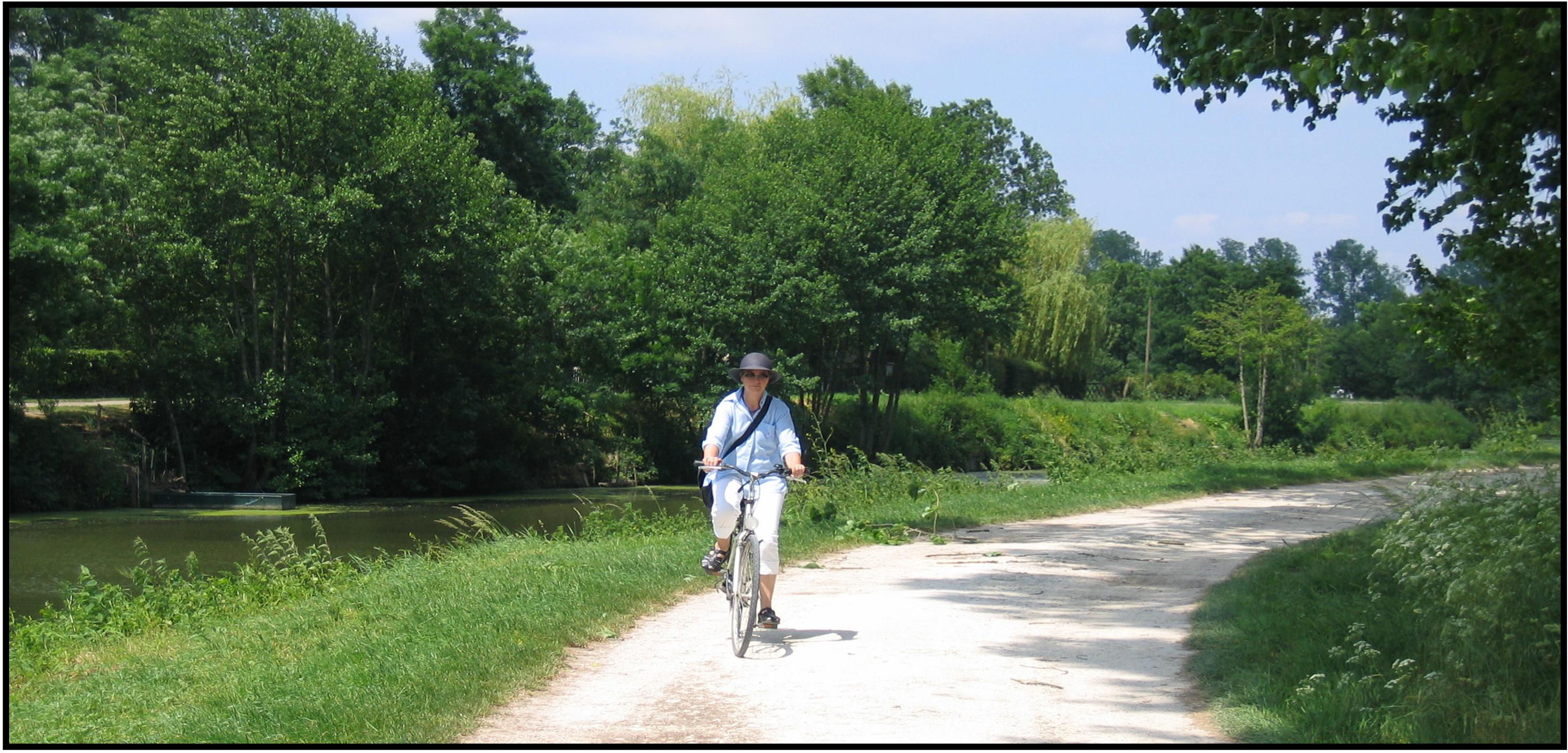 Domaine du Canal - Gîte de la Grange (G 260), Arçais - photo 4