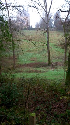 Boucle équestre du Château de la Chapoulie à Peyrignac, Le Lardin-Saint-Lazare - photo 3