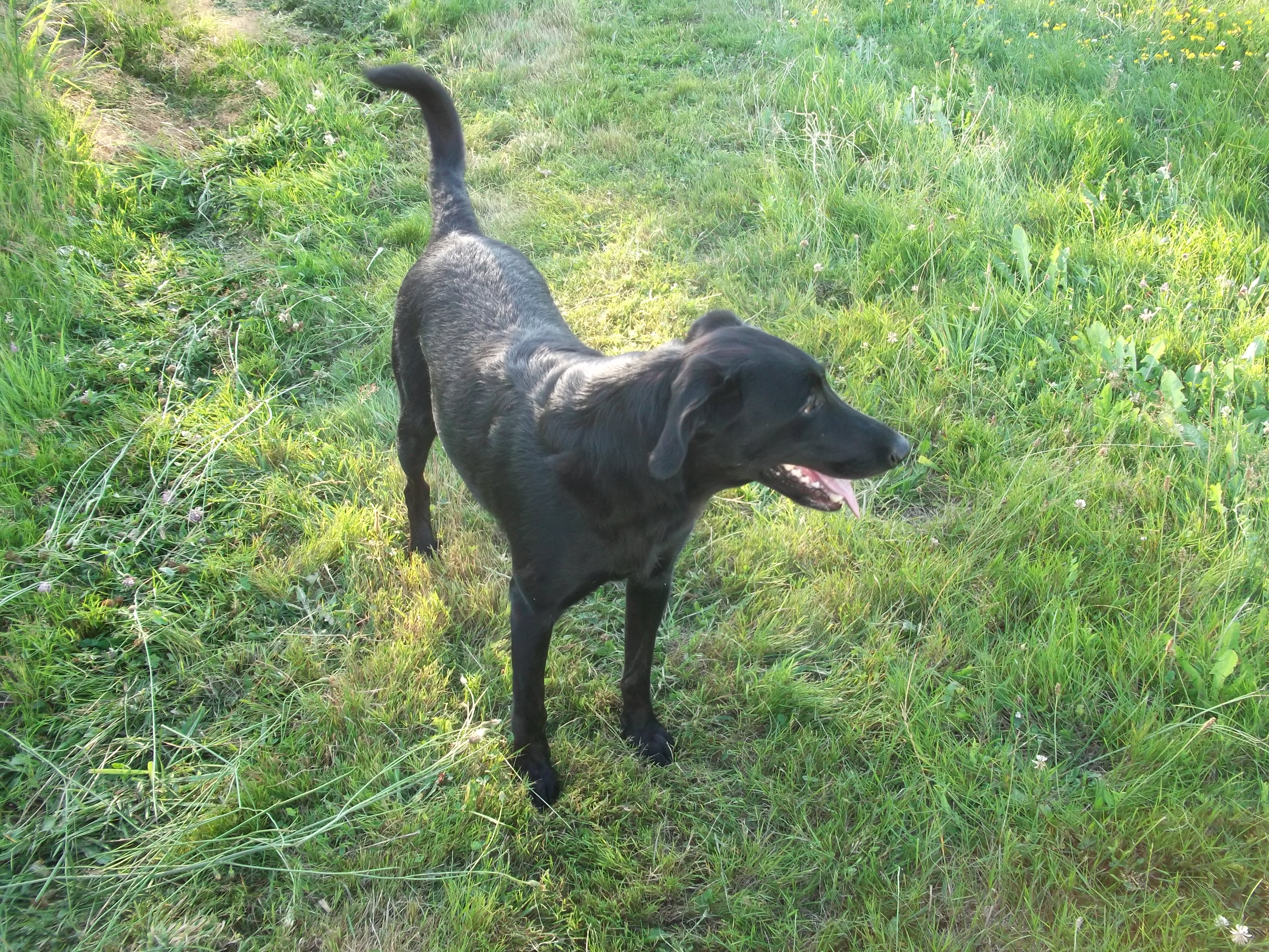Gîte du Petit Ruisseau, Porte-de-Benauge - photo 10