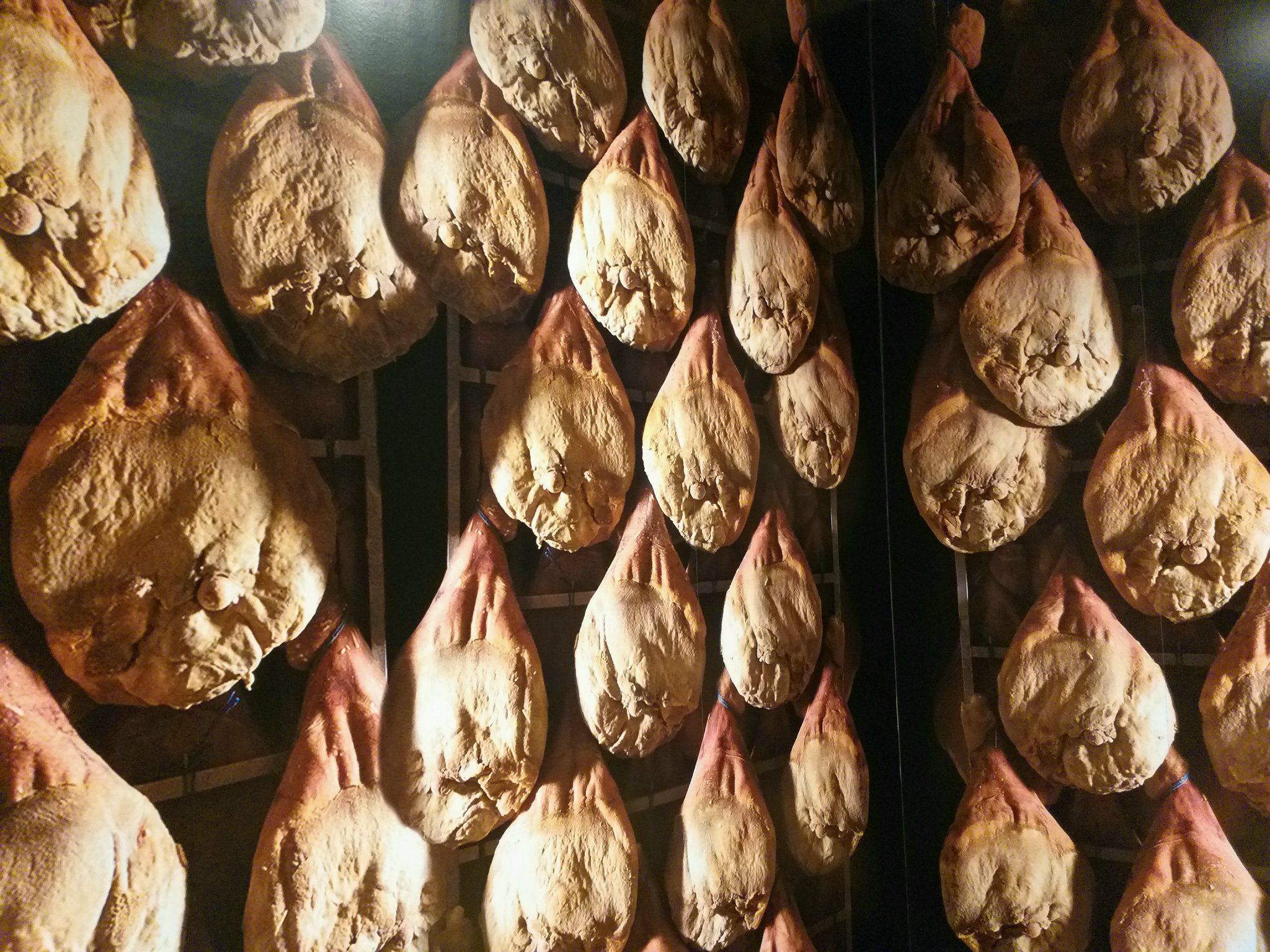 Agence Mochila Etcetera