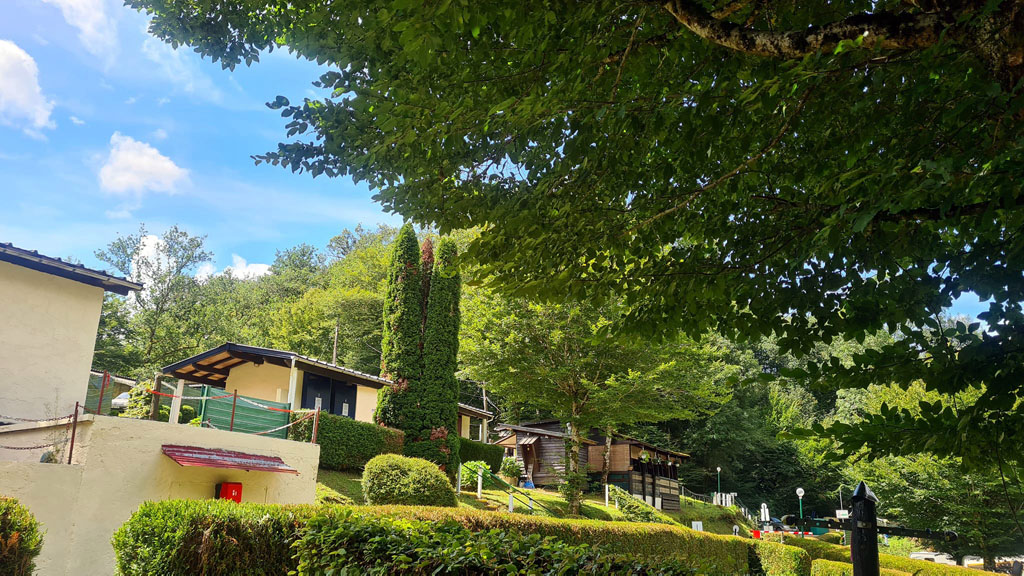 Le pré du moulin, Laguenne-sur-Avalouze - photo 11