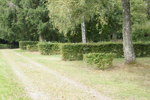 Camping municipal Couly - photo 3