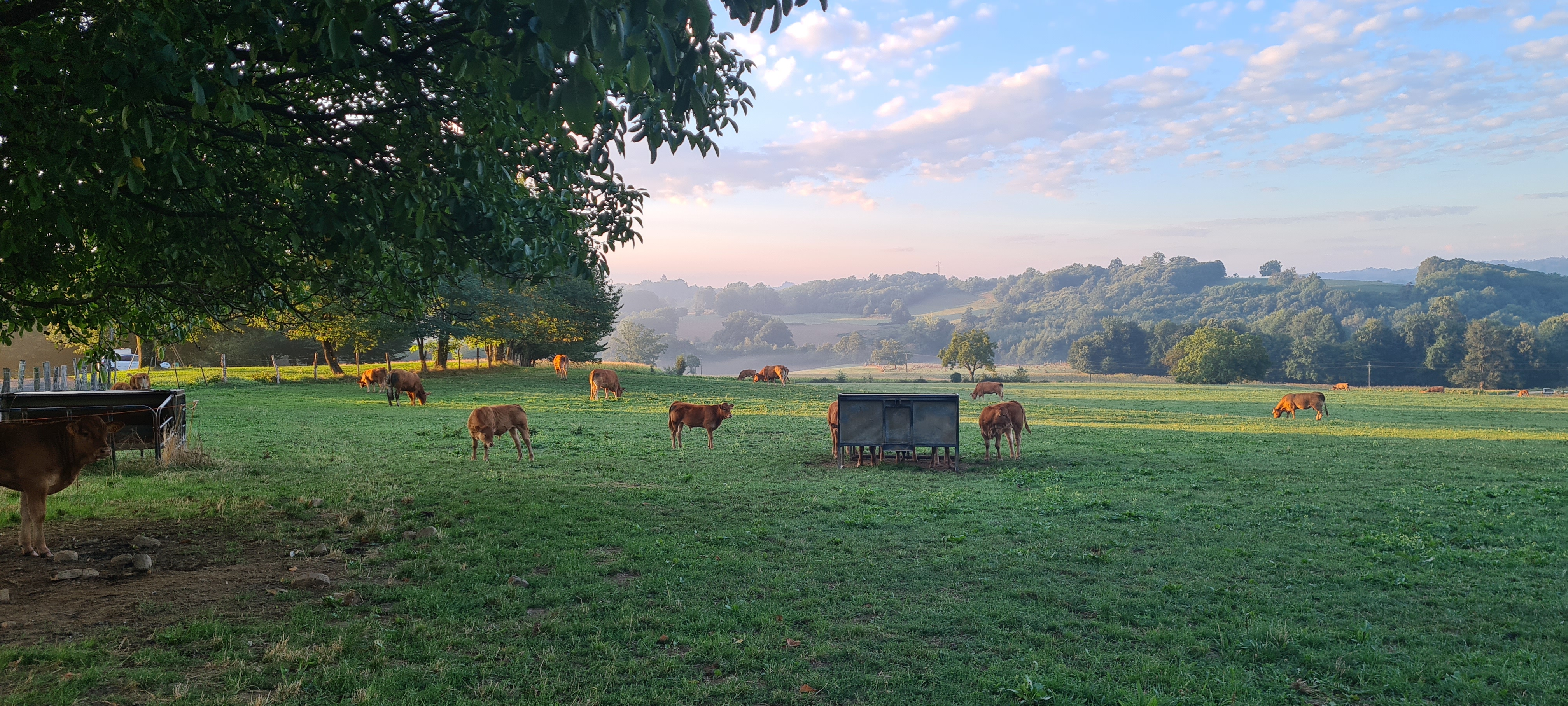 Camping du Bois Coutal, Vigeois - photo 13