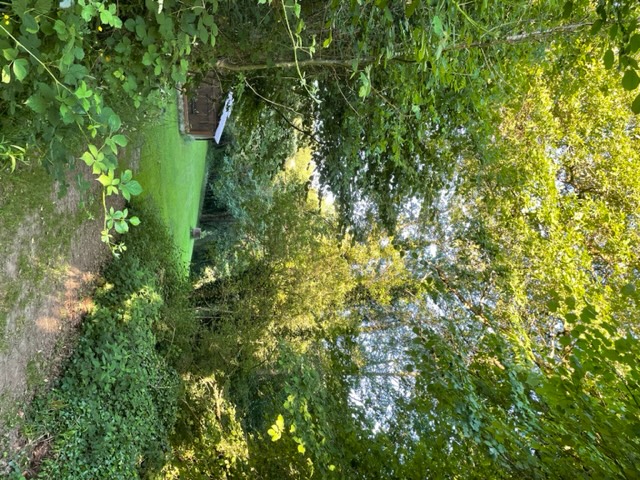 Camping nature et Vézère - photo 2