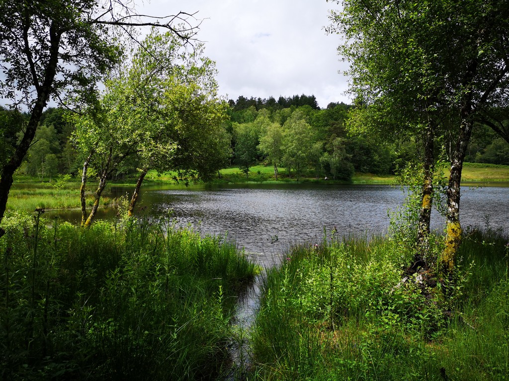 Plan d'eau de l'Enclose