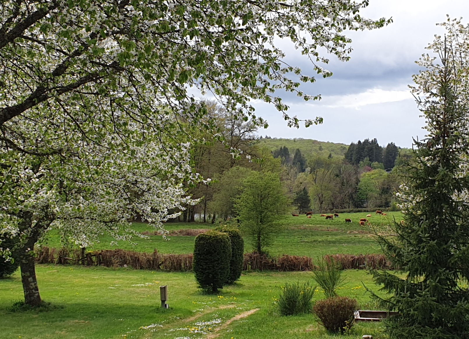 Camping le Soustran, Neuvic - photo 13