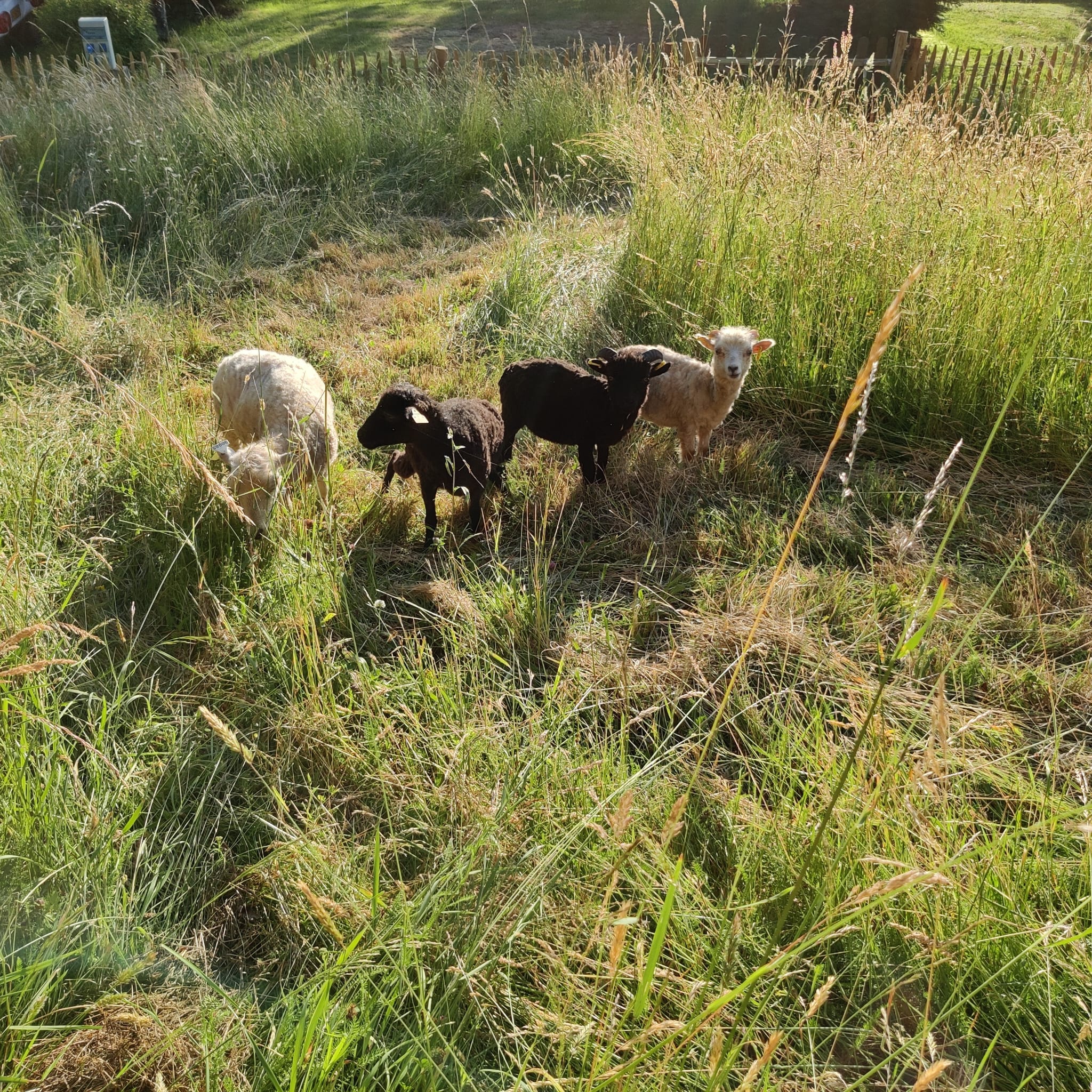 Camping le Soustran, Neuvic - photo 11