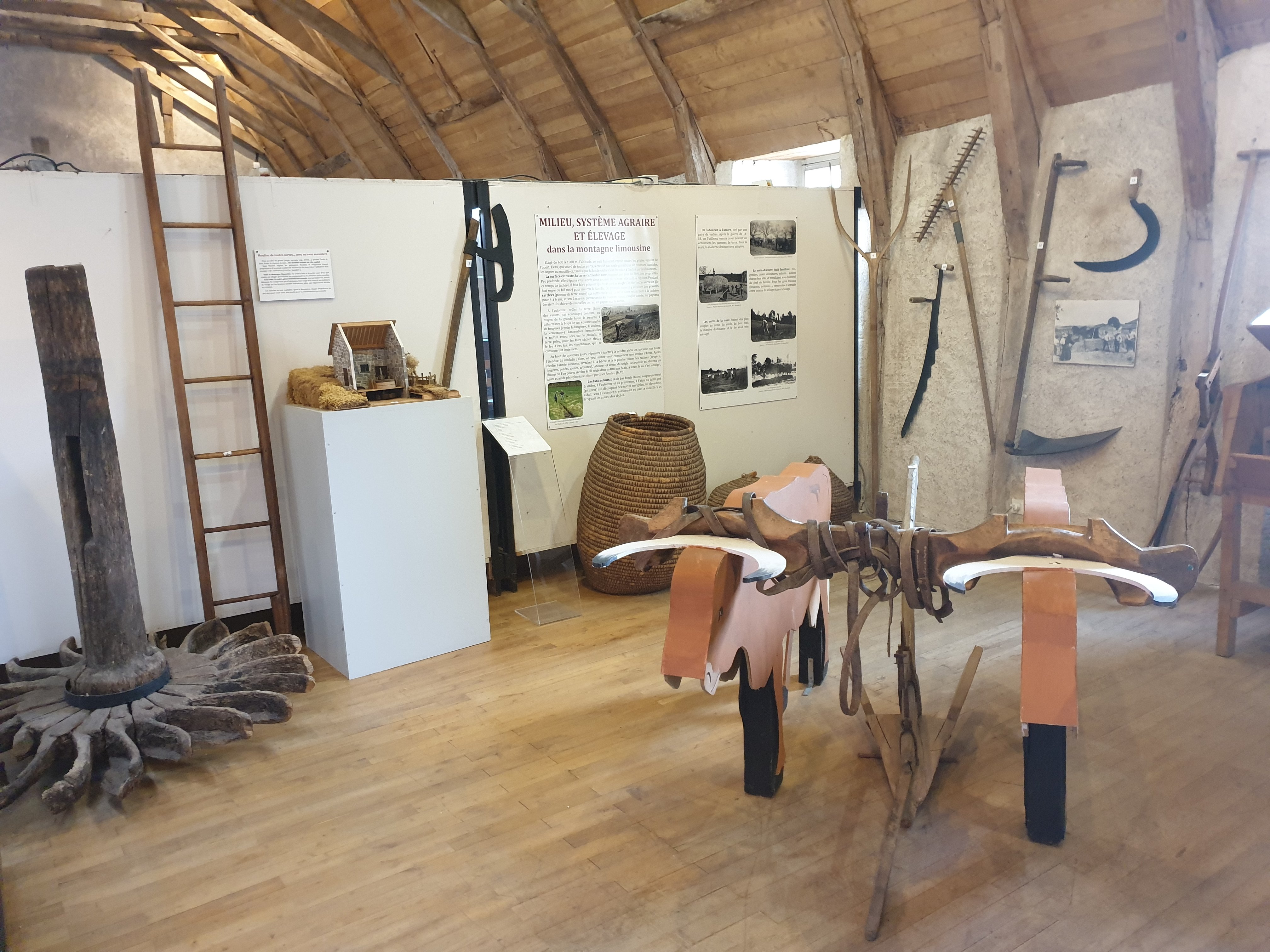 Musée d'archéologie & du patrimoine Marius Vazeilles, Meymac - photo 5