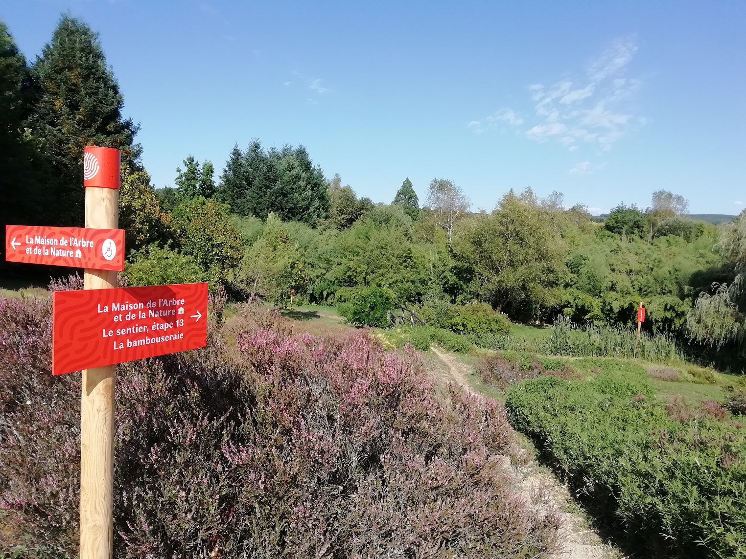 Parc arboretum de Chamberet, Chamberet - photo 4