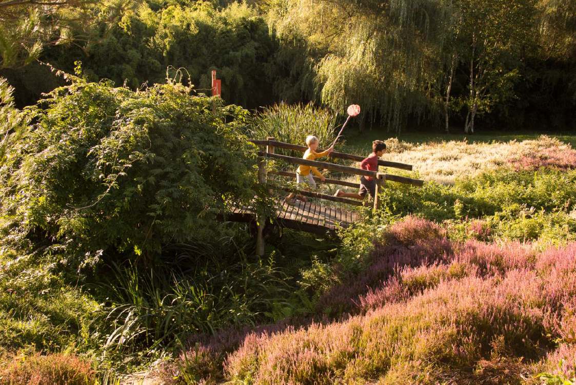 Parc arboretum de Chamberet, Chamberet