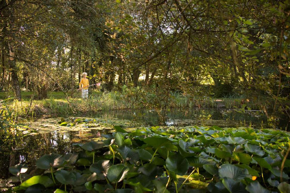 Parc arboretum de Chamberet, Chamberet - photo 2