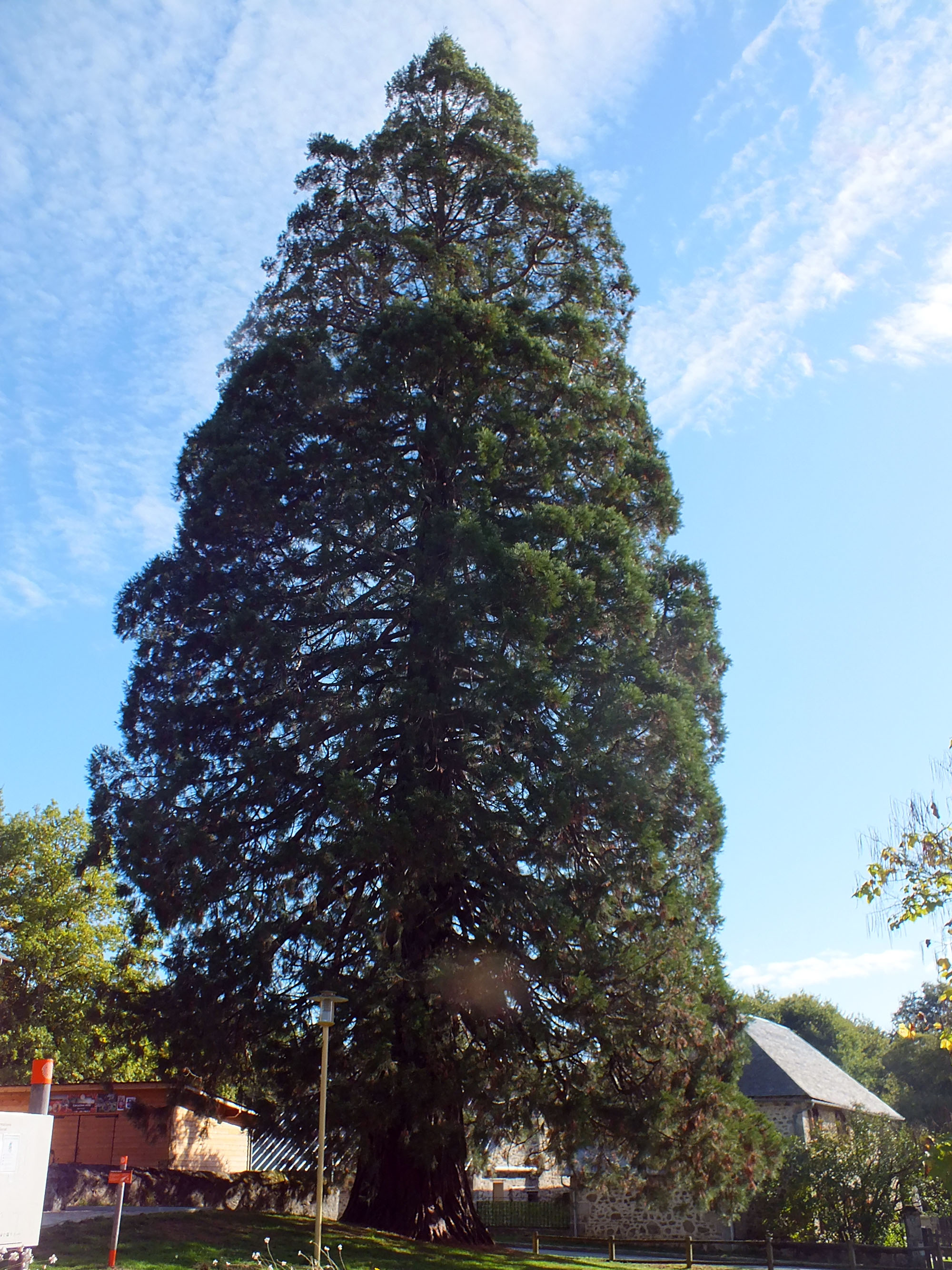 Maison de l'arbre et de la nature, Chamberet - photo 3