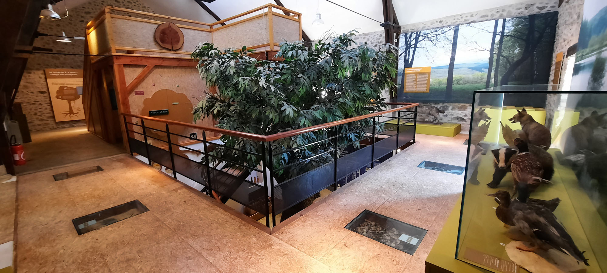 Maison de l'arbre et de la nature, Chamberet - photo 6