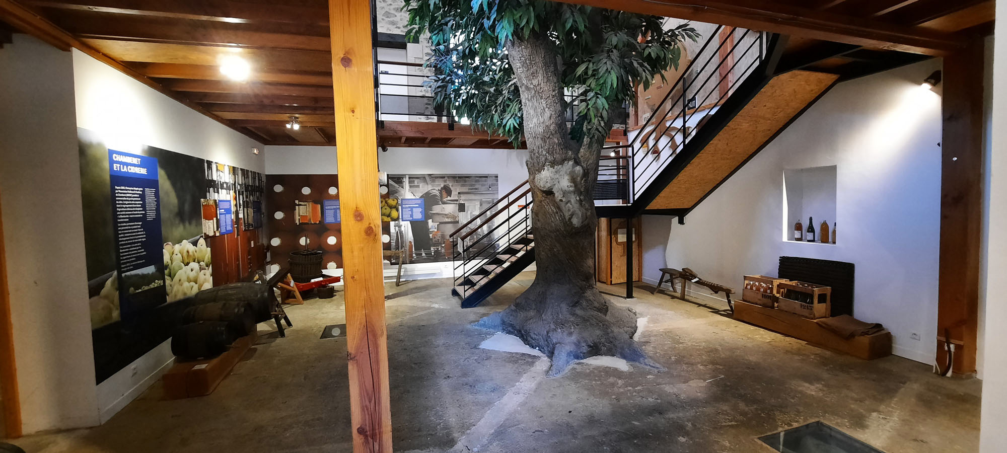 Maison de l'arbre et de la nature, Chamberet - photo 8