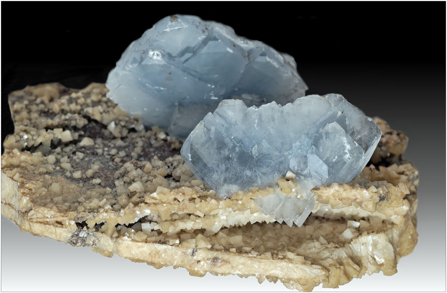 Maison du patrimoine, Naves - photo 7