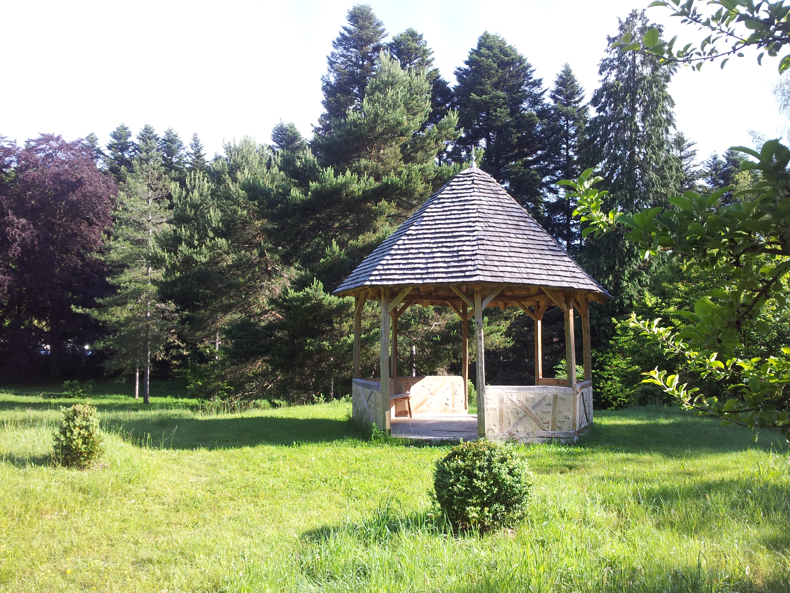 Arboretum du château de Neuvic d'Ussel, Neuvic - photo 8