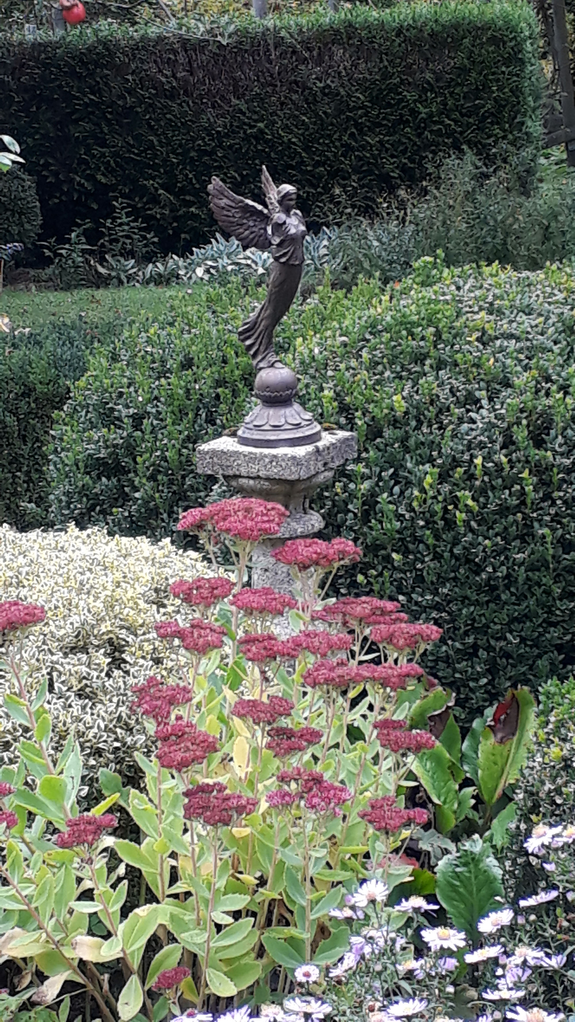 Le Jardin d'Arsac, Saint-Fréjoux - photo 5