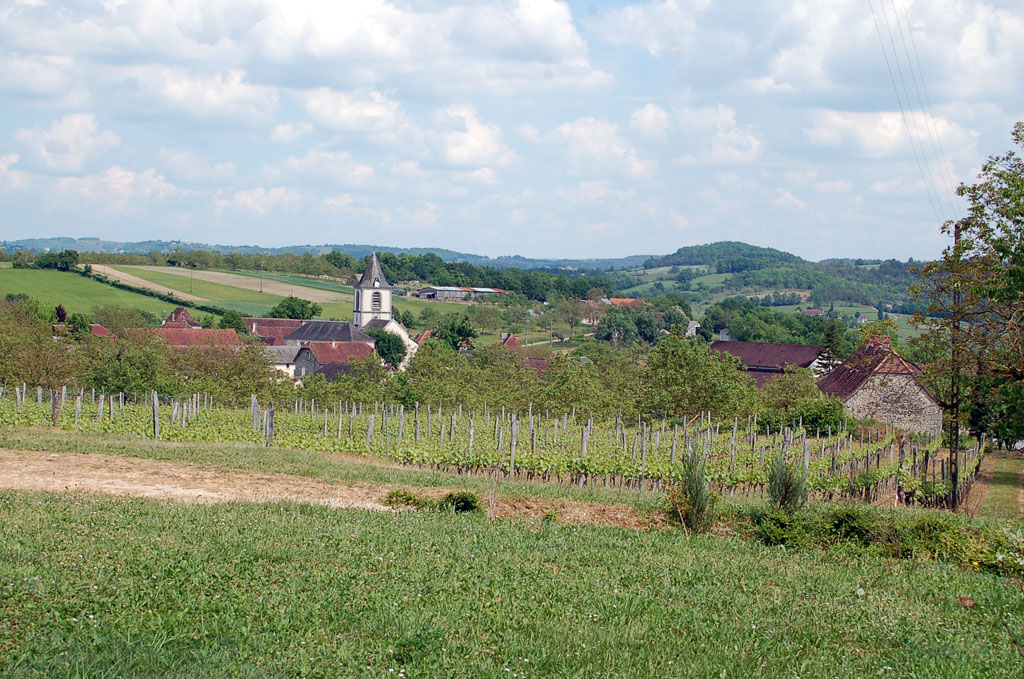 Autour du vignoble