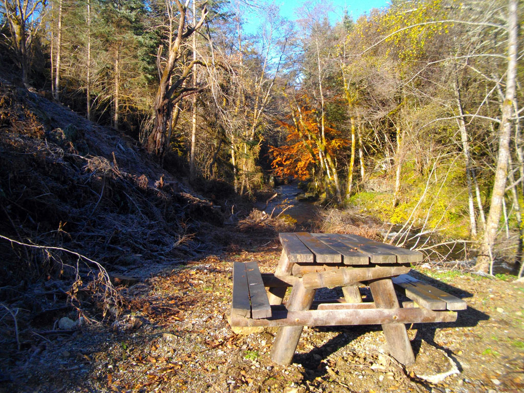 A la naissance du Chavanon - Parcours PAPSE, Laroche-près-Feyt - photo 2