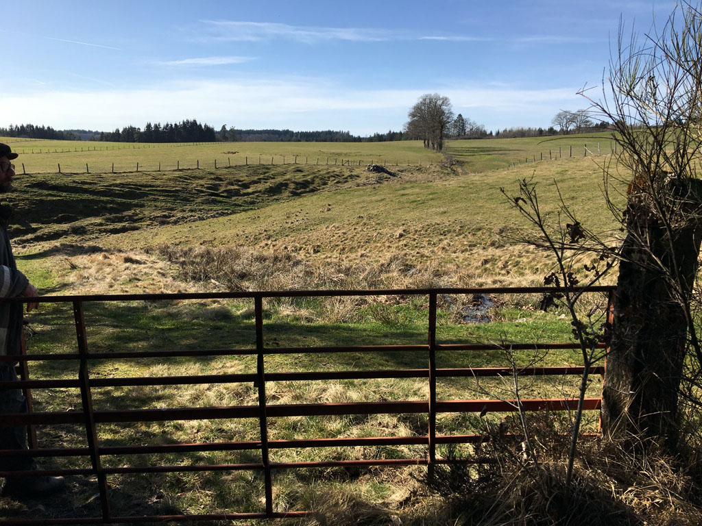 A la naissance du Chavanon - Parcours PAPSE, Laroche-près-Feyt - photo 8