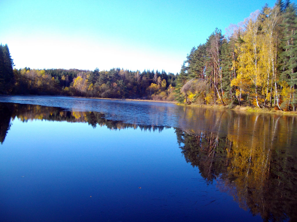 A la naissance du Chavanon - Parcours PAPSE, Laroche-près-Feyt - photo 6